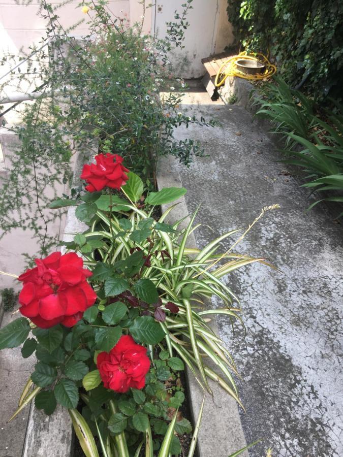 Les Palmiers Niceairport, Beach200M, 2Bedrooms, Wifi Optic Екстериор снимка